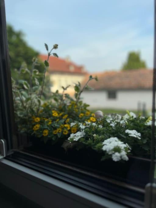 Ferienwohnung Im Thueringer Wald 巴特列本斯坦 外观 照片